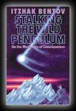 Stalking the Wild Pendulum
