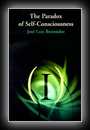 The Paradox of Self-Consciousness-Jose Luis Bermudez