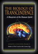 The Biology of Transcendence: A Blueprint of the Human Spirit