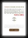 Buddhism: Plain & Simple-Steve Hagen