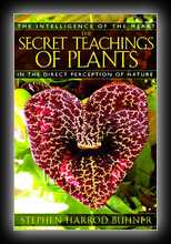 Secret Teachings of Plants