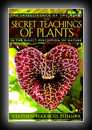 Secret Teachings of Plants-Stephen Harrod Buhner