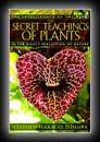 Secret Teachings of Plants-Stephen Harrod Buhner