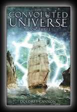 The Convoluted Universe - Book 3