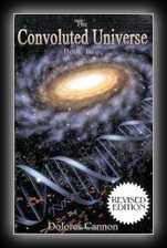 The Convoluted Universe - Book 2