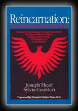 Reincarnation: The Phoenix Fire Mystery