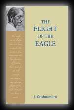 The Flight of the Eagle