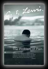 The Problem of Pain