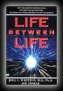 Life Between Life-Joel Whitton