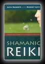 Shamanic Reiki - Expanded Ways of Working with Universal Life Force Energy-Llyn Roberts