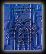 The Ancient Secret of the Flower of Life  Volume 2