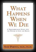 What Happens When We Die: A Groundbreaking Study into the Nature of Life and Death