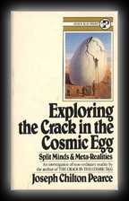 Exploring the Crack in the Cosmic Egg: Split minds and meta-realities 
