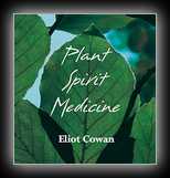 Plant Spirit Medicine