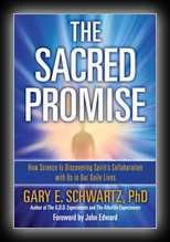The Sacred Promise: How Science Is Discovering Spirit's Collaboration with Us in Our Daily Lives