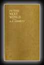 In the Next World: Actual Narratives of Personal Experiences by Some Who Have Passed On-A. P. Sinnett