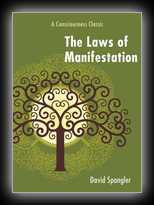 The Laws of Manifestation