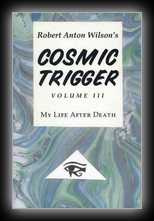 Cosmic Trigger Volume 3: My Life After Death