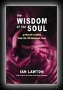 The Wisdom of the Soul: Profound Insights from the Life between Lives-Ian Lawton