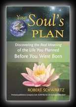 Your Soul's Plan: Discovering the Real Meaning of the Life You Planned Before You Were Born